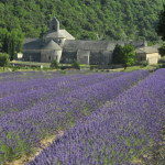 L'Abbaye de Sénanque